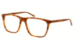 ALEX - Optique, Écaille Clair Matt