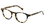 P18 - Optique, Écaille Foncé 2
