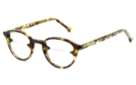 P1 et demi - Optique, Kaki