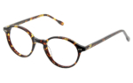 P4 - Optique, Écaille Foncé