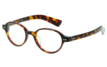 P42 - Optique, Écaille Foncé