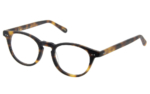 P18 - Optique, Écaille Matt